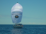 Ocean Spirit - Yachtcharter Schweden, Mitsegeln