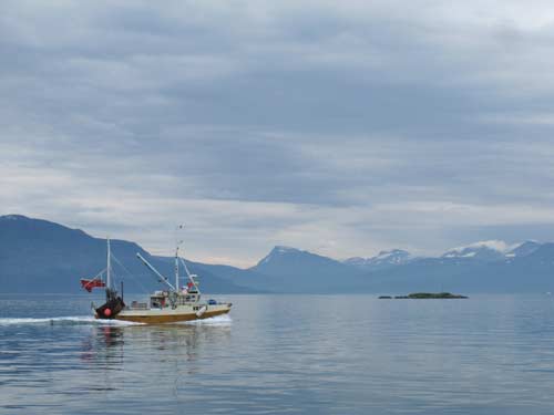 Yachtcharter Norwegen Lofoten