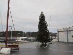 Gåshaga Marina / Lidingö / Stockholm